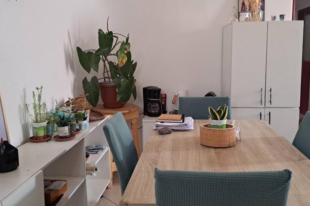 Mendes Family Homestay - B&B In The Heart Of Praia Eksteriør bilde