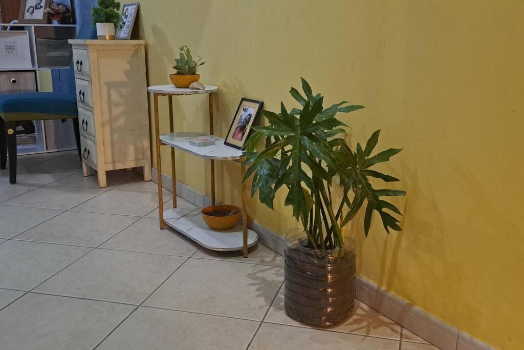 Mendes Family Homestay - B&B In The Heart Of Praia Eksteriør bilde