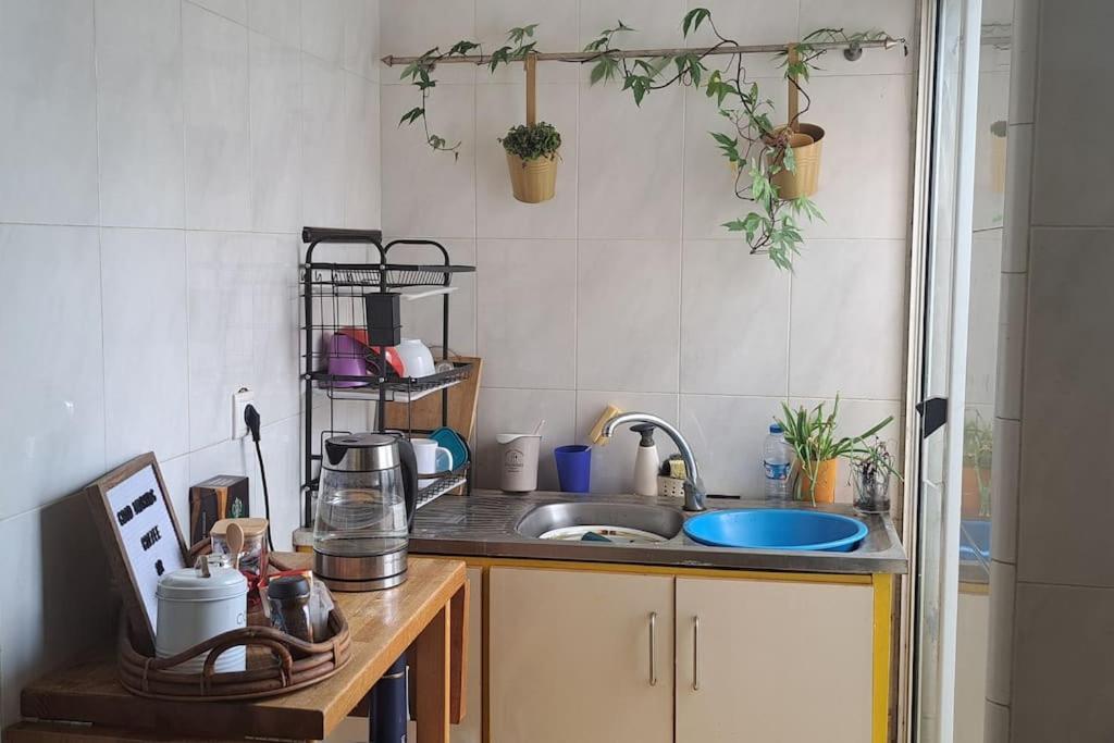 Mendes Family Homestay - B&B In The Heart Of Praia Eksteriør bilde